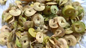 WP_20160607_08_27_08_a