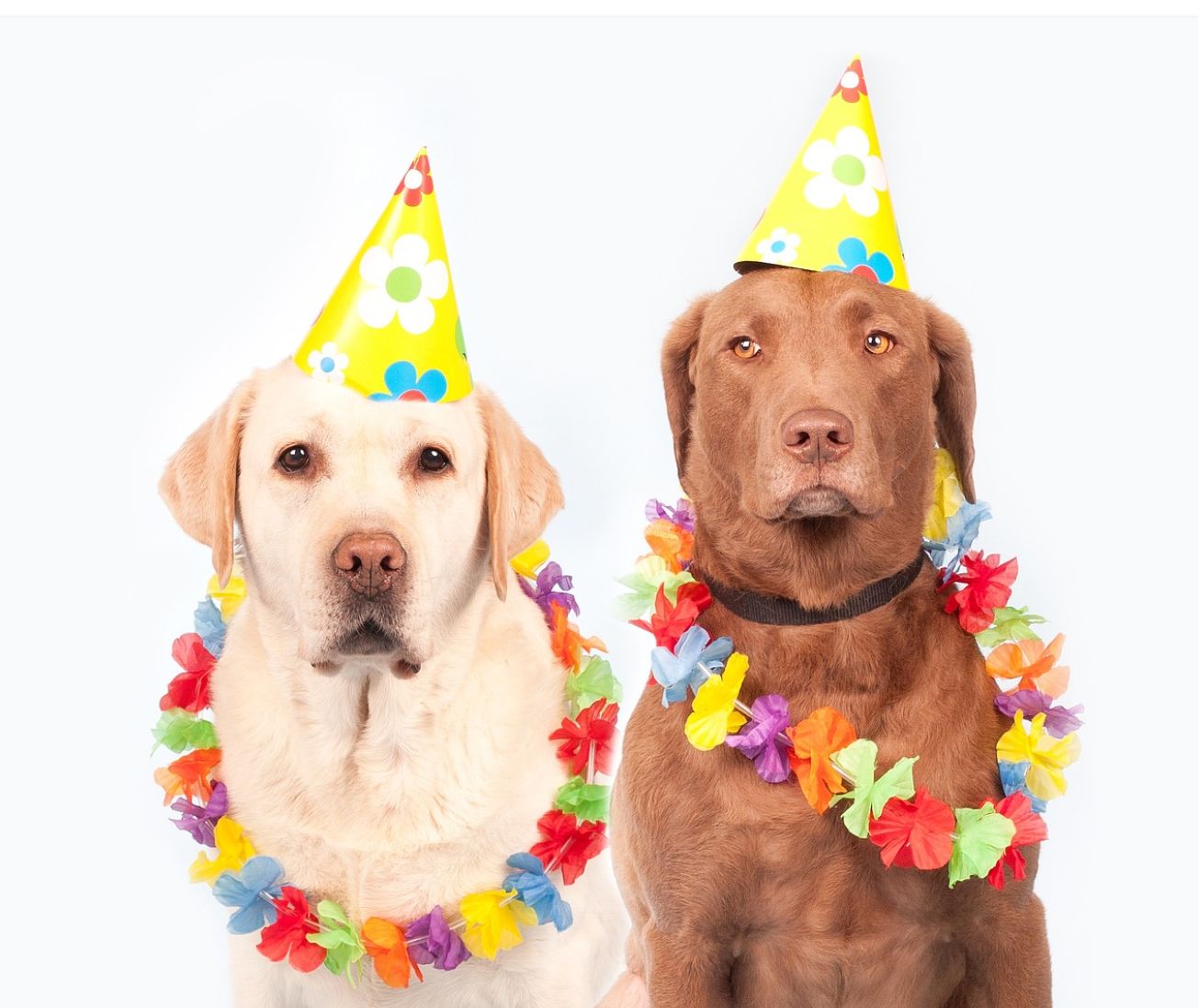 τι γιορτάζουμε τις απόκριες