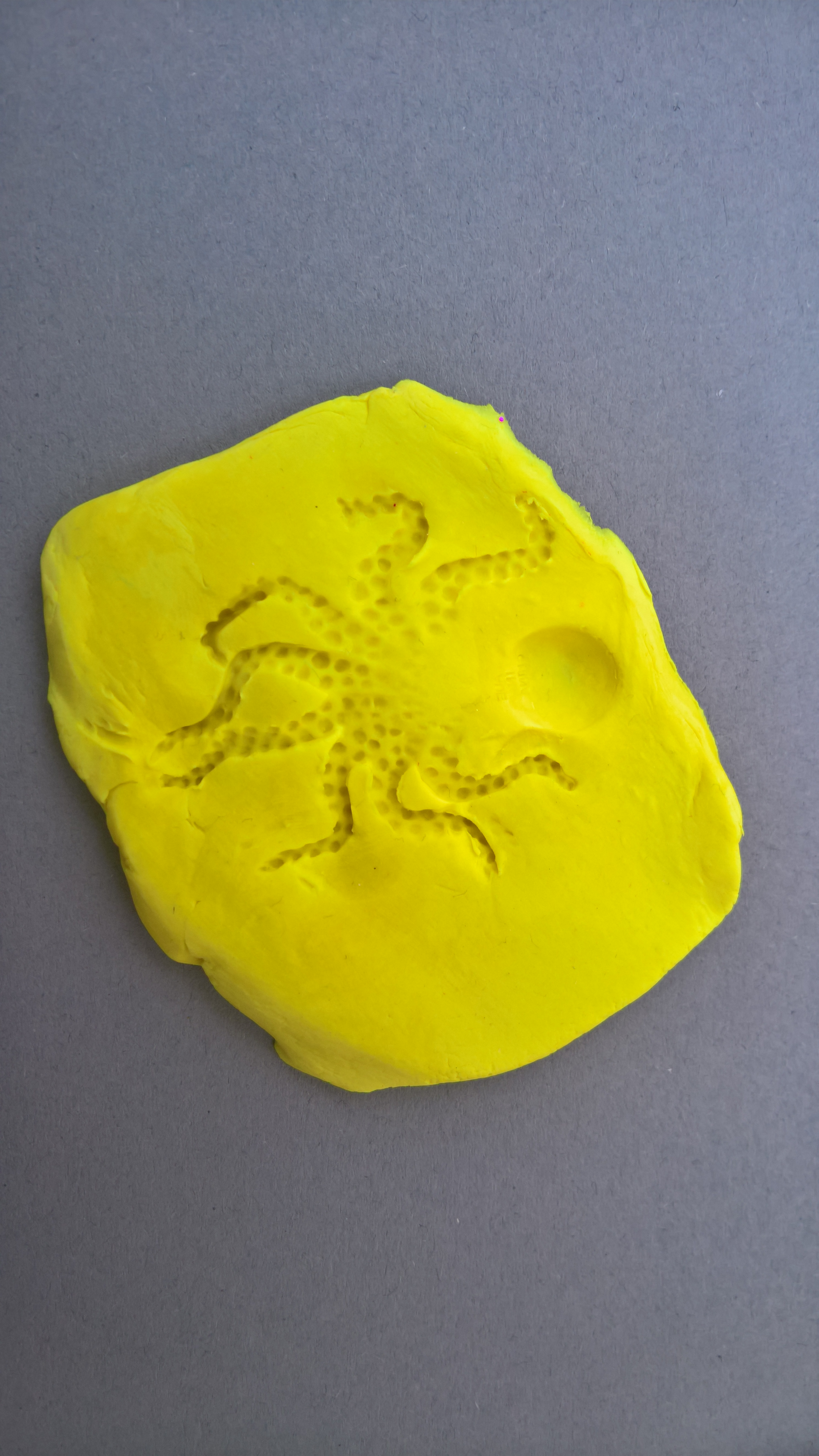 Απολιθώματα