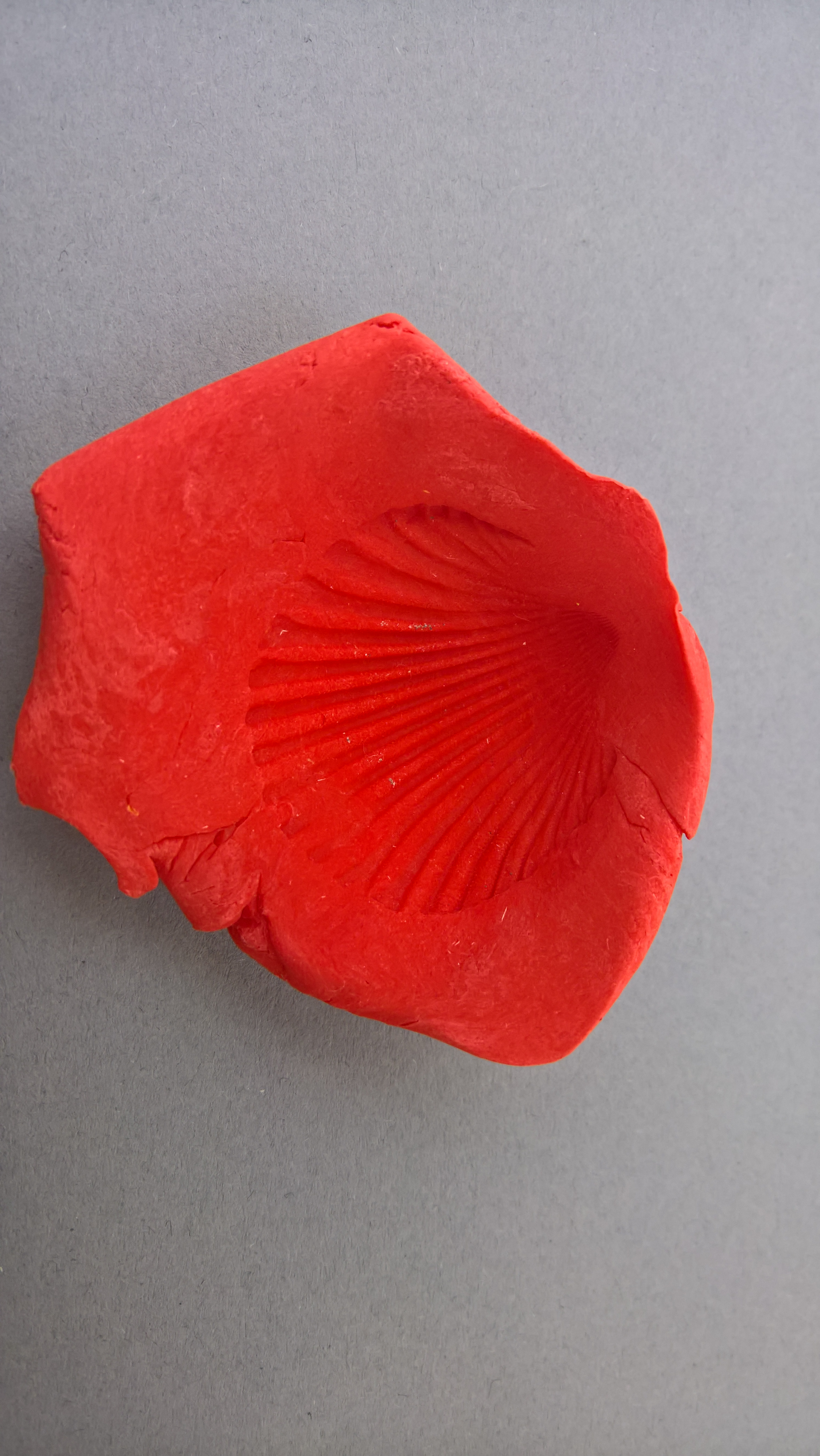 Απολιθώματα