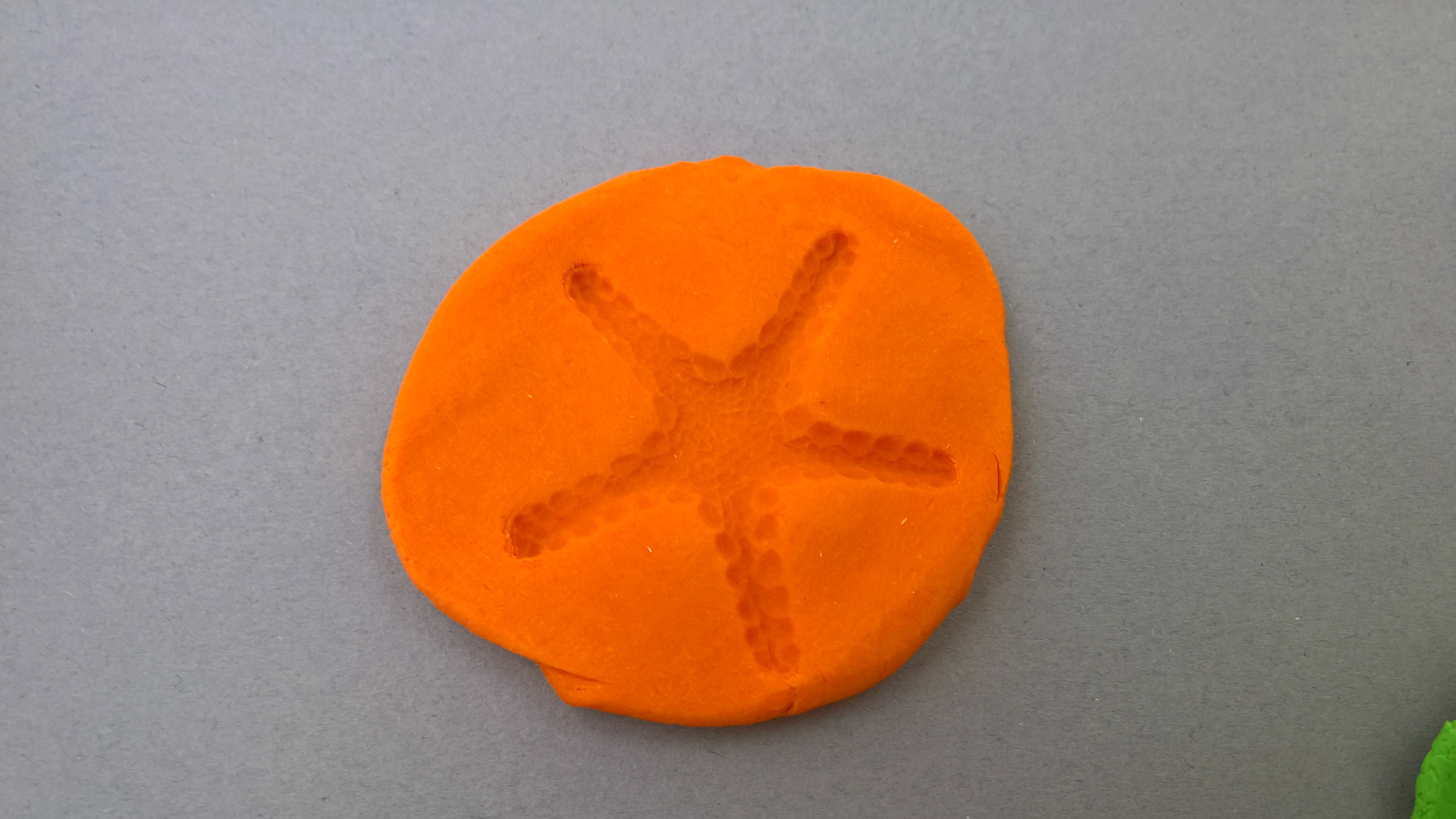 Απολιθώματα