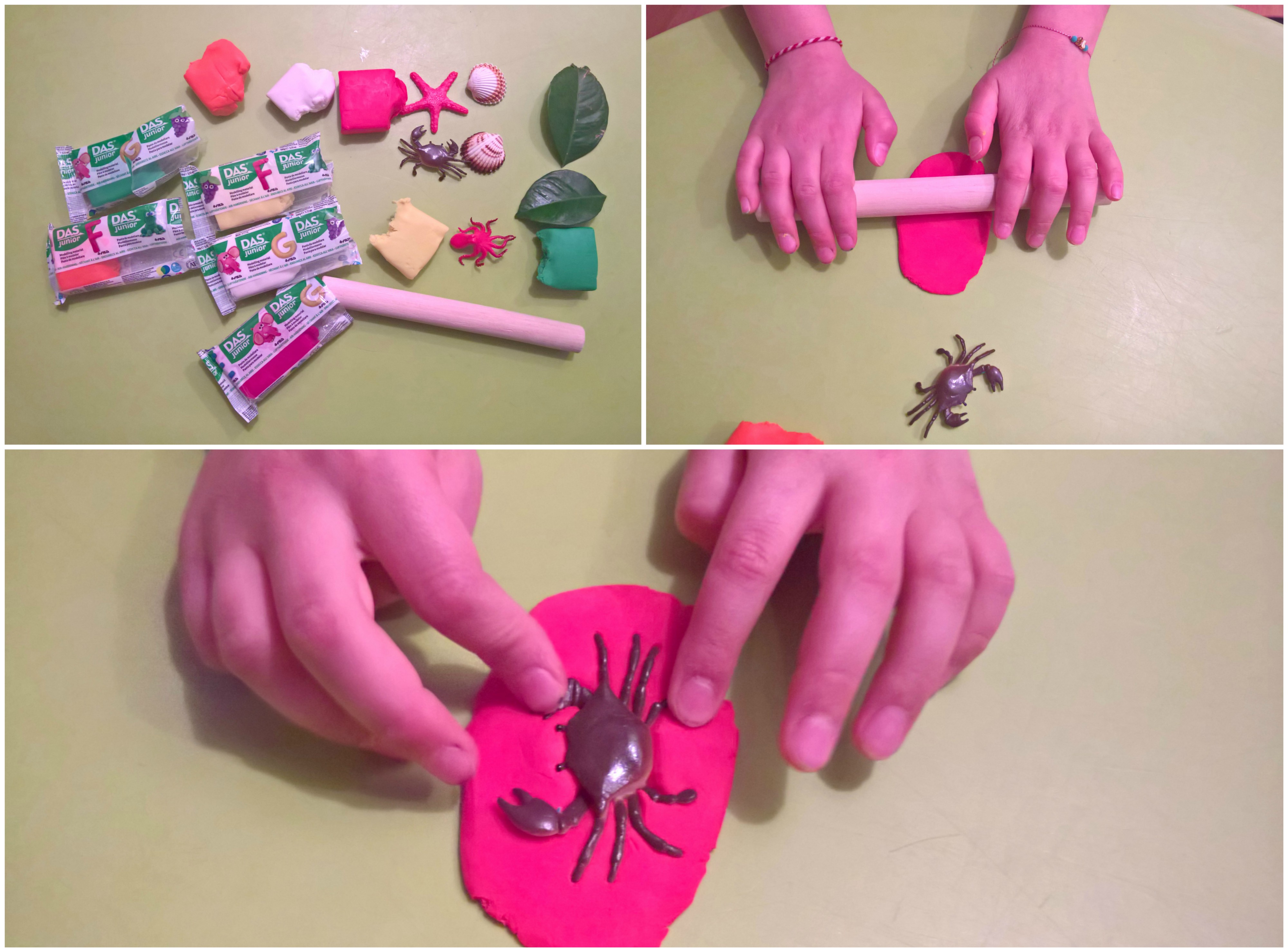 Απολιθώματα