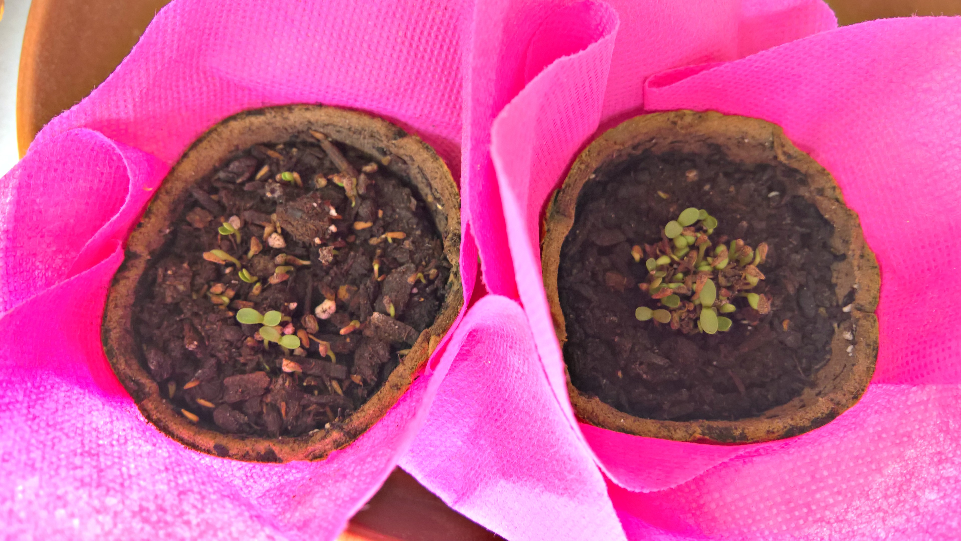 δώρα για παιδικό πάρτυ