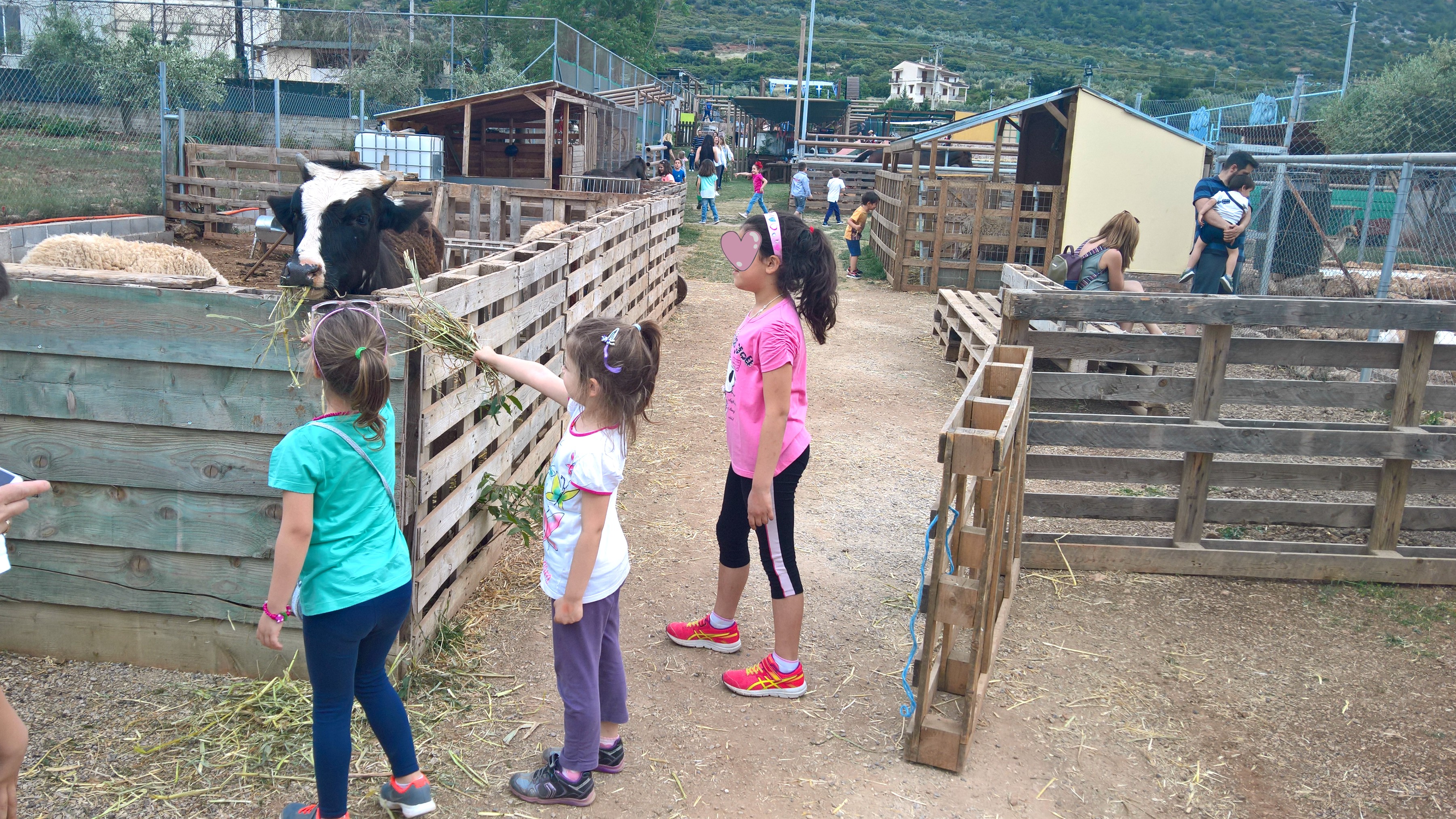 βιωματικό πάρκο μια φορά κι έναν καιρό