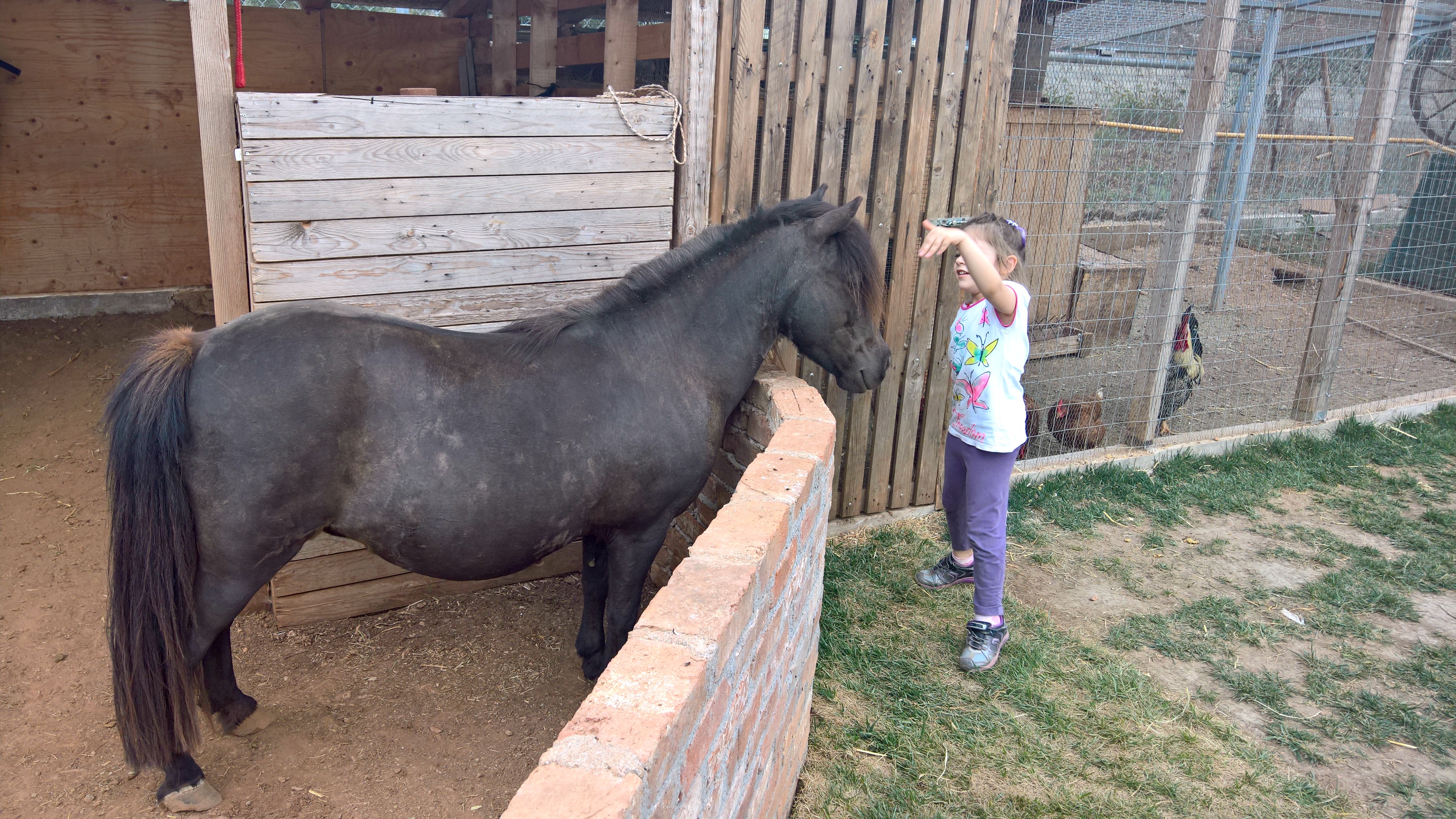 Βιωματικό πάρκο μια φορά κι έναν καιρό