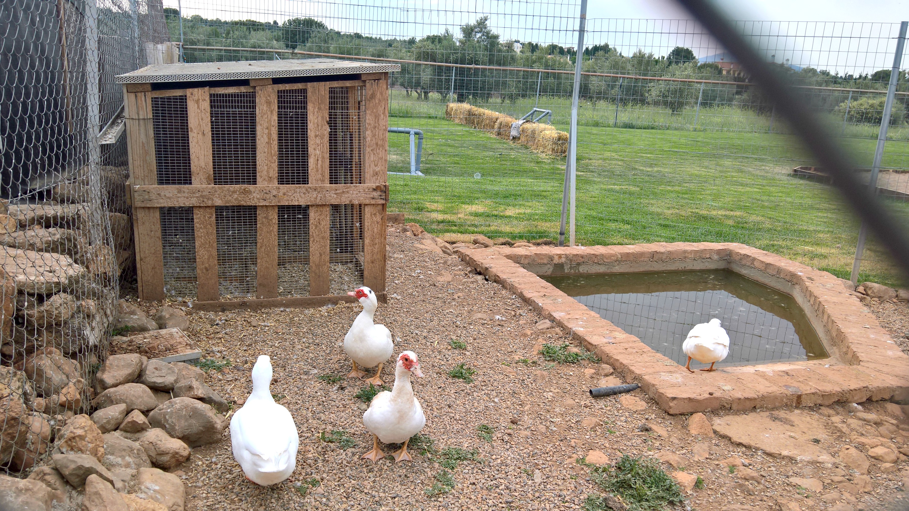 βιωματικό πάρκο μια φορά κι έναν καιρό