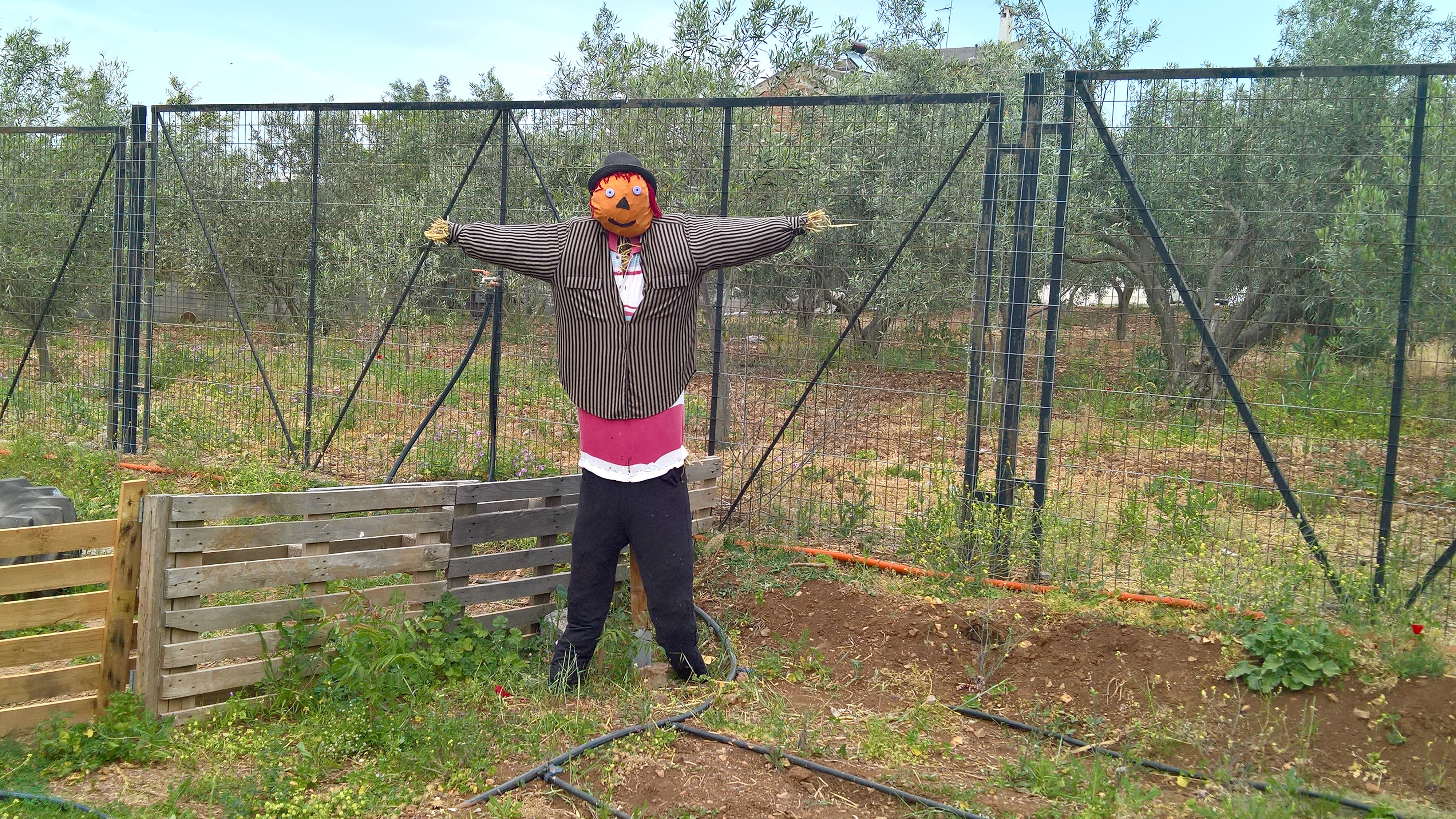 βιωματικό πάρκο μια φορά κι έναν καιρό