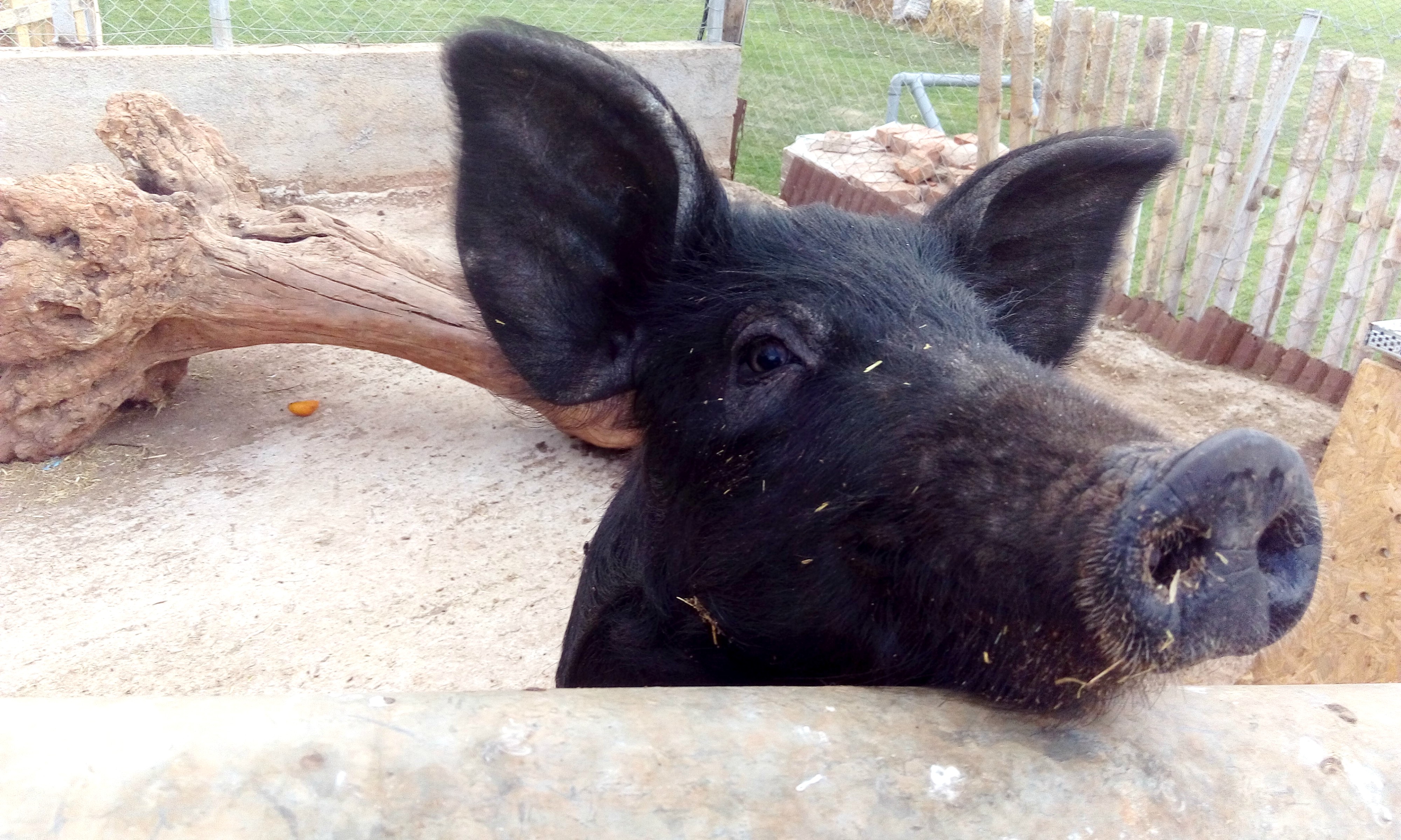 βιωματικό πάρκο μια φορά κι έναν καιρό