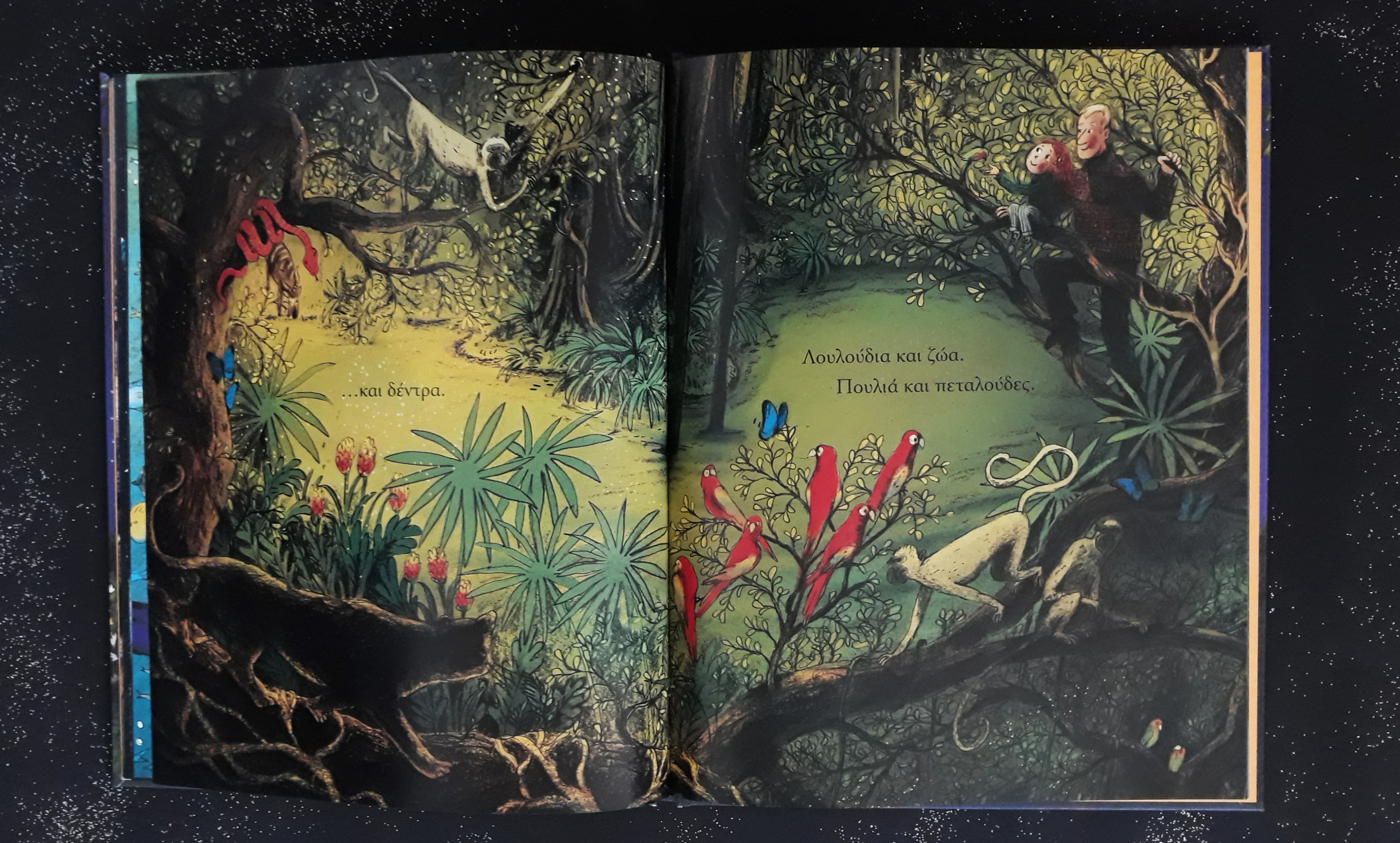 Βιβλίο Αστερόσκονη