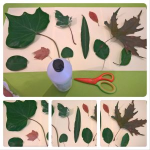 %ce%bc%ce%b1%ce%b6%ce%b5%cf%85%ce%bf%cf%85%ce%bc%ce%b5-%cf%86%cf%85%ce%bb%ce%bb%ce%b1-1