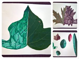 %cf%86%cf%85%ce%bb%ce%bb%ce%b1-%ce%b5%ce%bb%ce%b5%ce%bd%ce%b7%cf%82