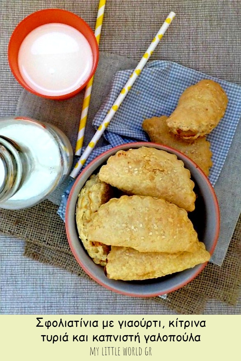 sfoliatinia_me_galopoula_kai_turia_mylittleworldgr