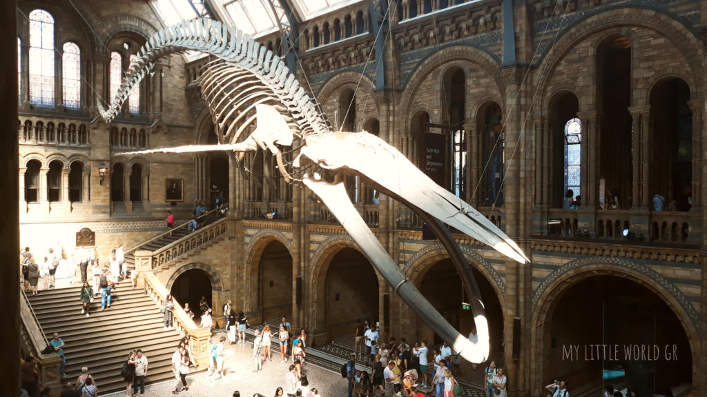 national history museum london