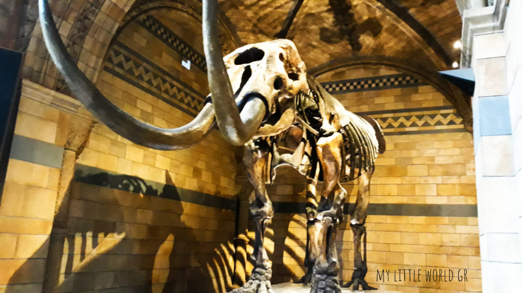 natural history museum london