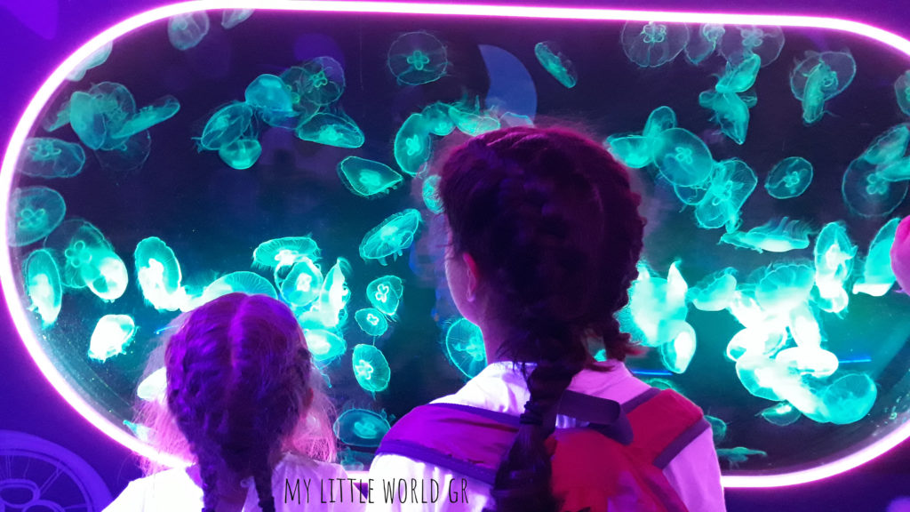 sea life london aquarium