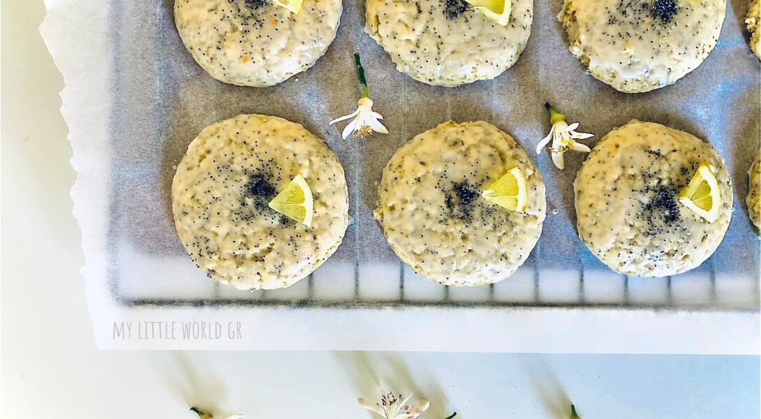 mpiskota_lemoniou_mylittleworldgr