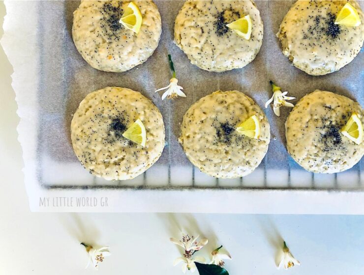 mpiskota_lemoniou_mylittleworldgr