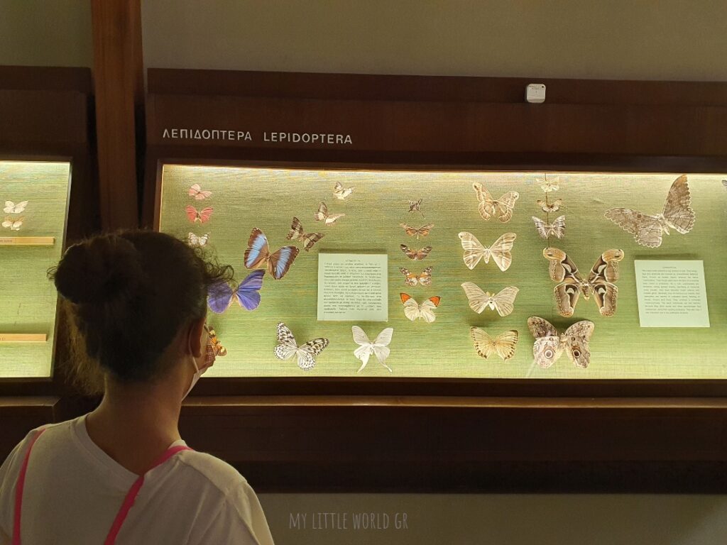 mouseio_goulandri_fusikis_istorias_mylittleworldgr