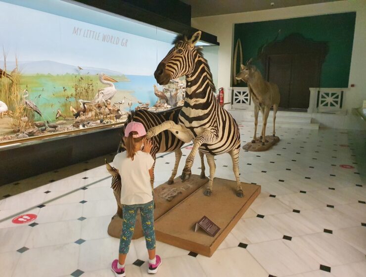 mouseio_goulandri_fusikis_istorias_mylittleworldgr