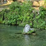 piges_kruas_livadeias_mylittleworldgr