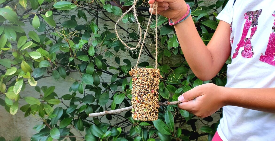 taistra_gia_poulia_mylittleworld.gr