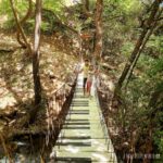 Parko_anapsihis_pavliani_mylittleworldgr