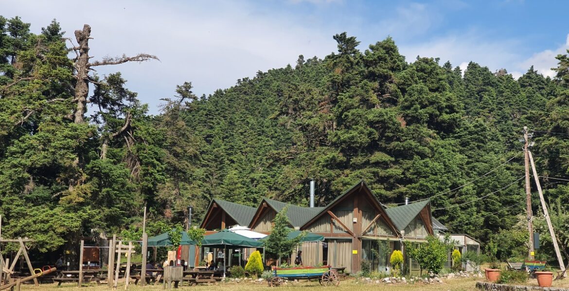 Stin_arvanitsa_gia_imerisia_ekdromi_me_ta_paidia_mylittleworldgr